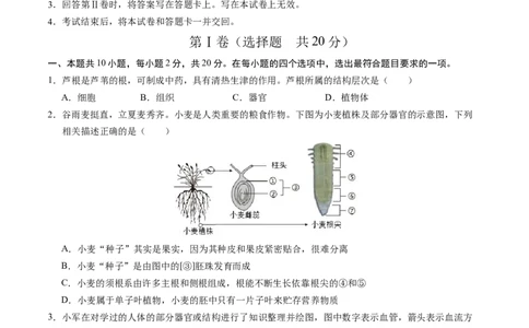2024年中考押题预测卷（湖北卷）-生物（考试版）A4_初中全科电子版试卷练习试题_生物_2024中考模拟题生物(1)_押题预测