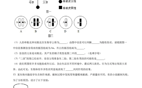 2八年级上学期期末生物试题（原卷版）_初中全科电子版试卷练习试题_生物_生物8上练习_人教生物8年级上期末试卷10份