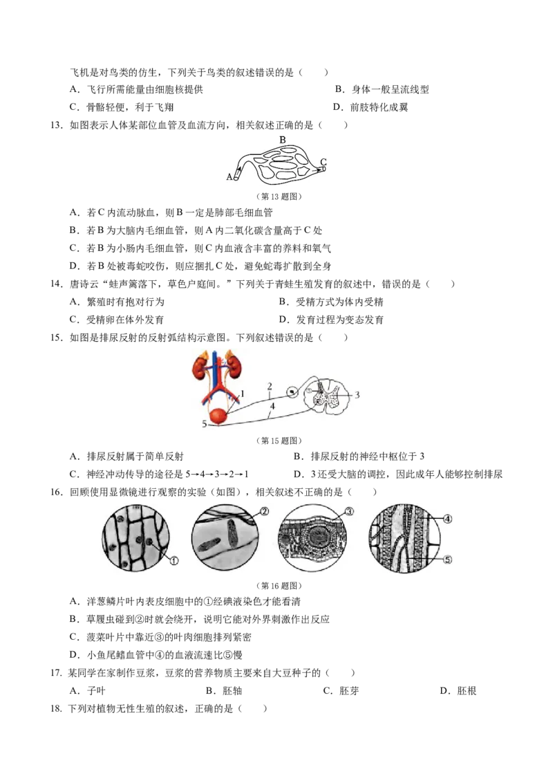 2024年中考押题预测卷（济南卷）-生物（考试版）A4_初中全科电子版试卷练习试题_生物_2024中考模拟题生物(1)_押题预测