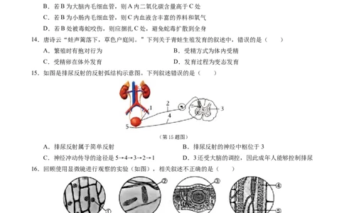 2024年中考押题预测卷（济南卷）-生物（考试版）A4_初中全科电子版试卷练习试题_生物_2024中考模拟题生物(1)_押题预测