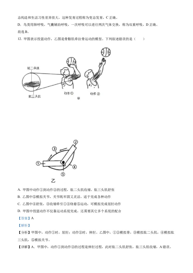 2024年山东省泰安市中考生物真题（解析版）(1)_山东历年中考真题_山东省历年中考真题2013~2024_初中生物历年真题（2013-2024）
