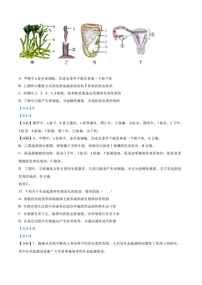2024年山东省泰安市中考生物真题（解析版）(1)_山东历年中考真题_山东省历年中考真题2013~2024_初中生物历年真题（2013-2024）