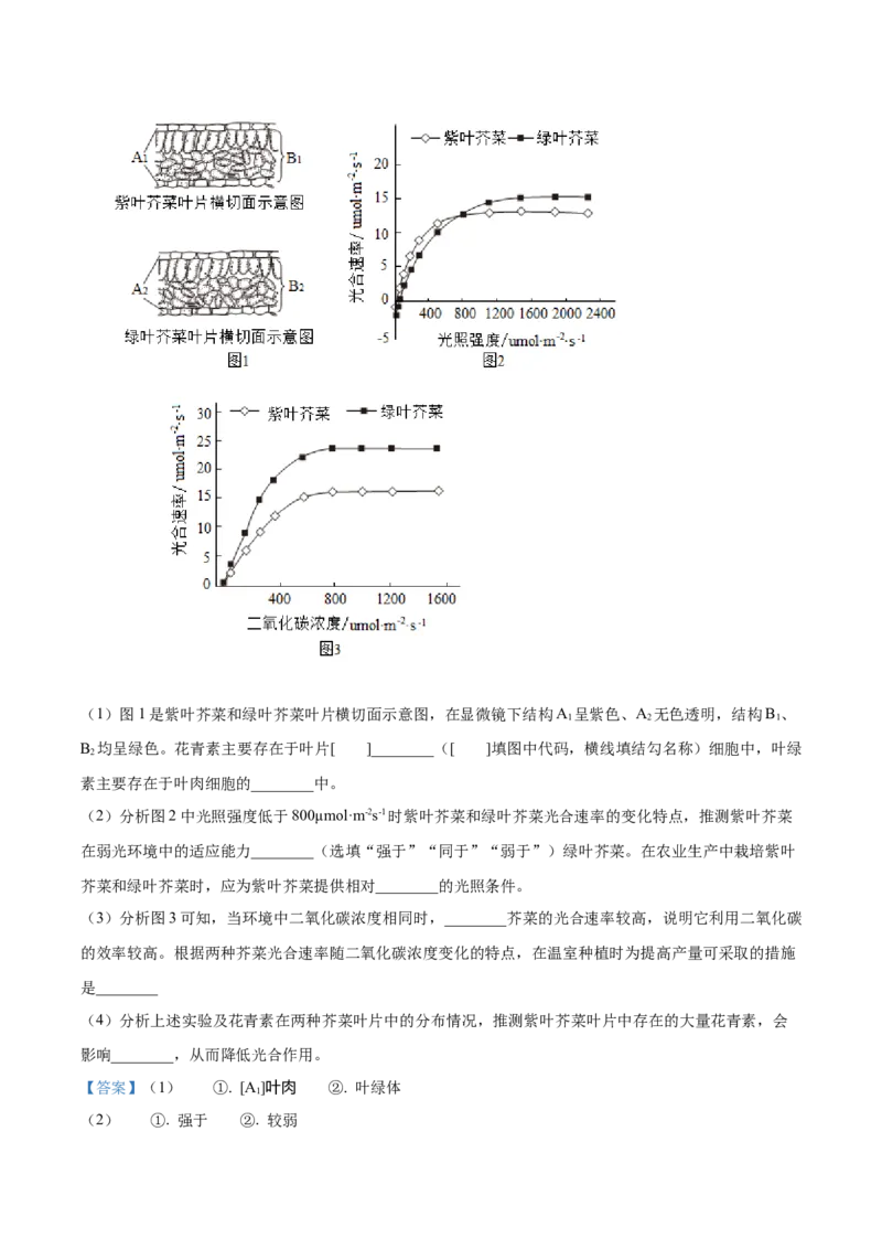 2024年山东省泰安市中考生物真题（解析版）(1)_山东历年中考真题_山东省历年中考真题2013~2024_初中生物历年真题（2013-2024）