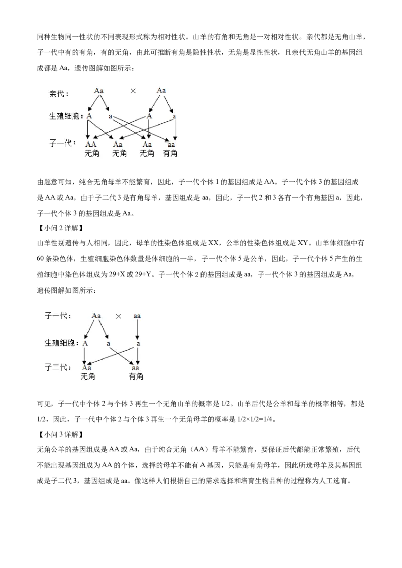2024年山东省泰安市中考生物真题（解析版）(1)_山东历年中考真题_山东省历年中考真题2013~2024_初中生物历年真题（2013-2024）