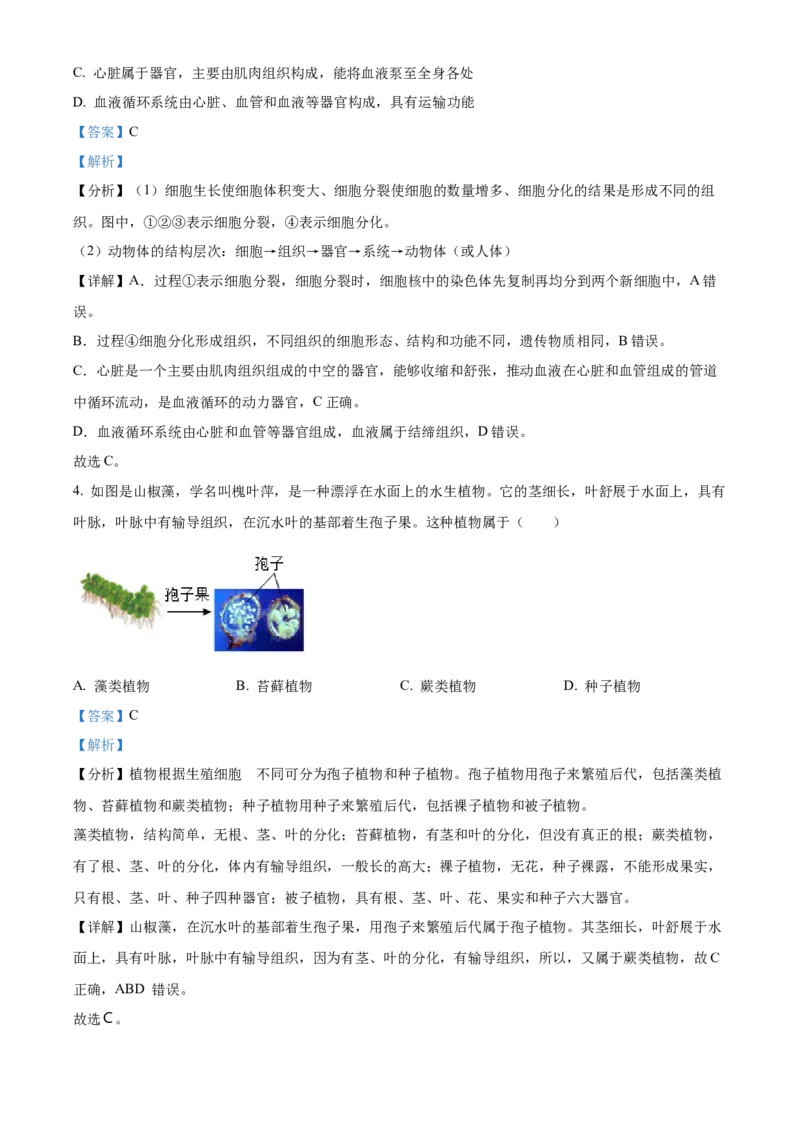 2024年山东省泰安市中考生物真题（解析版）(1)_山东历年中考真题_山东省历年中考真题2013~2024_初中生物历年真题（2013-2024）