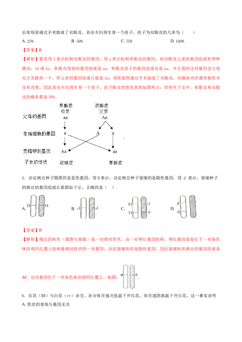 7.2.3基因的显性和隐形（重点练）-（人教版）（解析版）_初中全科电子版试卷练习试题_生物_生物8下练习_人教生物8年级下课时练习51份