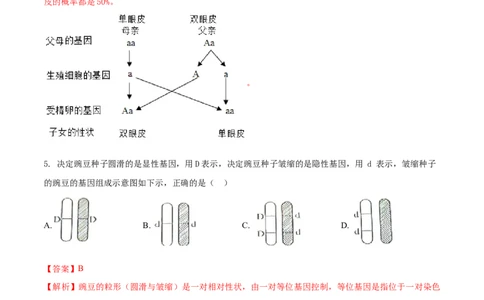 7.2.3基因的显性和隐形（重点练）-（人教版）（解析版）_初中全科电子版试卷练习试题_生物_生物8下练习_人教生物8年级下课时练习51份