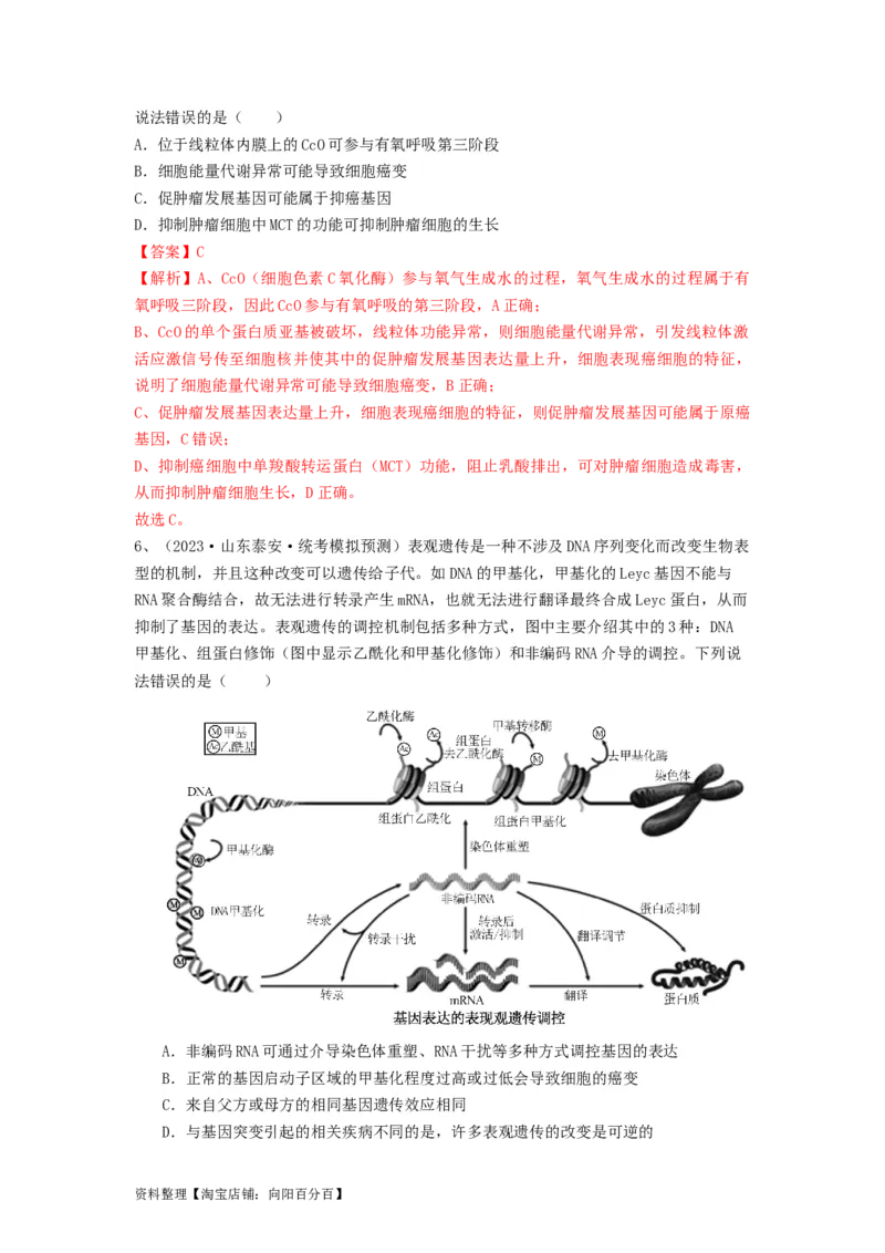 专题20基因突变和基因重组（精练）（解析版）_新高考复习资料_2024年新高考复习资料_一轮复习资料_完备战2024年高考生物一轮复习串讲精练（新高考专用）_精练_解析版