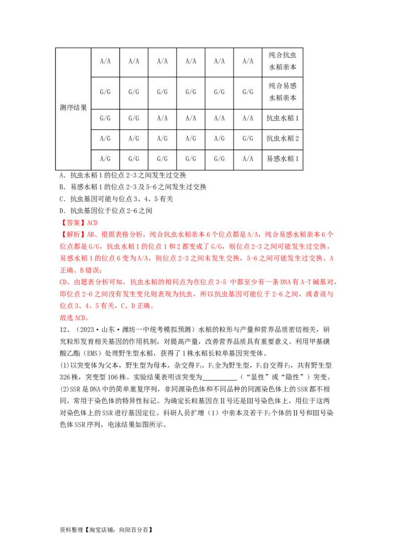 专题20基因突变和基因重组（精练）（解析版）_新高考复习资料_2024年新高考复习资料_一轮复习资料_完备战2024年高考生物一轮复习串讲精练（新高考专用）_精练_解析版