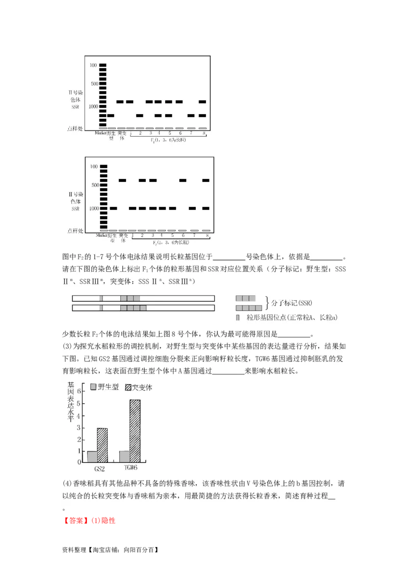 专题20基因突变和基因重组（精练）（解析版）_新高考复习资料_2024年新高考复习资料_一轮复习资料_完备战2024年高考生物一轮复习串讲精练（新高考专用）_精练_解析版