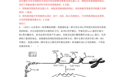 专题20基因突变和基因重组（精练）（解析版）_新高考复习资料_2024年新高考复习资料_一轮复习资料_完备战2024年高考生物一轮复习串讲精练（新高考专用）_精练_解析版