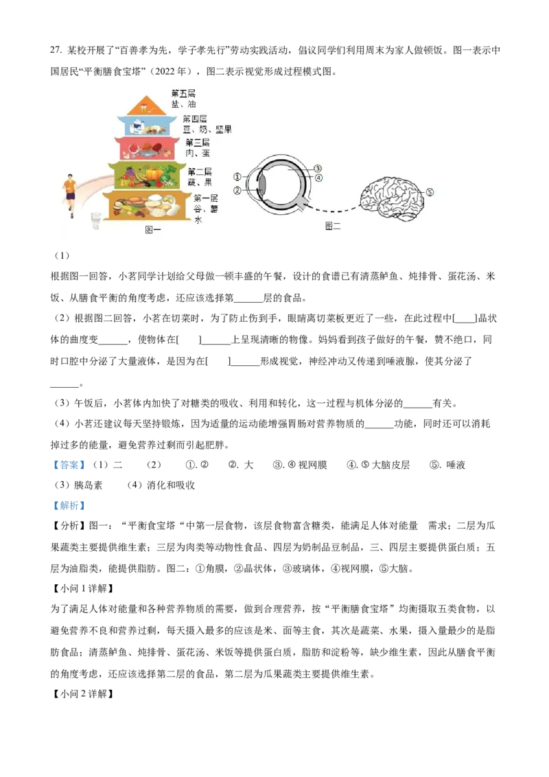 2024年山东省聊城市中考生物真题（解析版）(1)_山东历年中考真题_山东省历年中考真题2013~2024_初中生物历年真题（2013-2024）