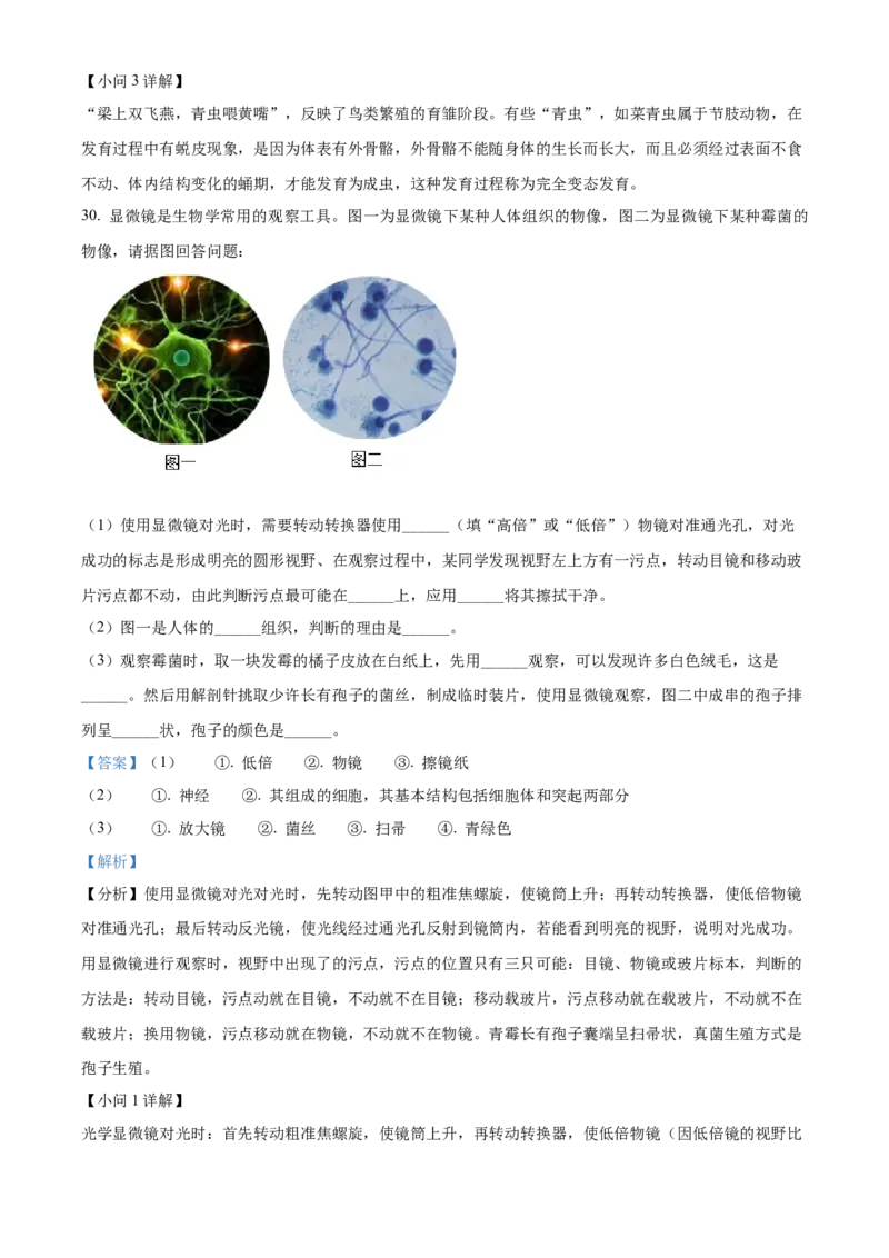 2024年山东省聊城市中考生物真题（解析版）(1)_山东历年中考真题_山东省历年中考真题2013~2024_初中生物历年真题（2013-2024）