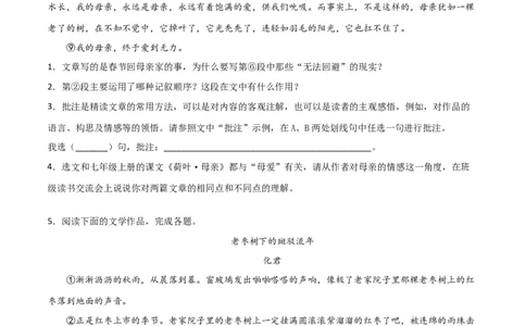 专题09：记叙文阅读-七年级语文上学期期末专项复习（部编版）_初中全科电子版试卷练习试题_语文_7上初中部编版语文练习、试卷_部编语文七年级上专项练习（020份）_专题练习