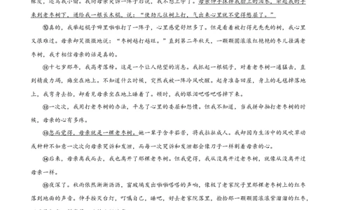 专题09：记叙文阅读-七年级语文上学期期末专项复习（部编版）_初中全科电子版试卷练习试题_语文_7上初中部编版语文练习、试卷_部编语文七年级上专项练习（020份）_专题练习