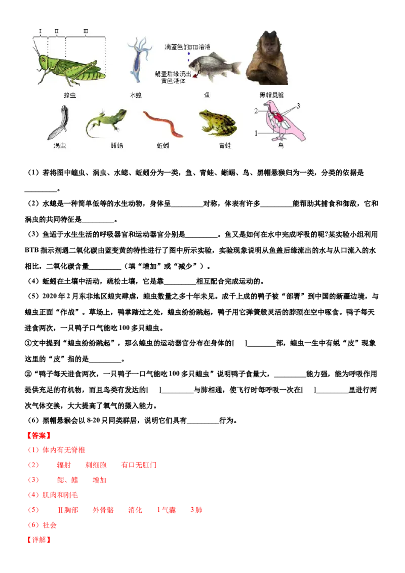 6.1.1尝试对生物进行分类（练习）（解析版）_初中全科电子版试卷练习试题_生物_生物8上练习_人教生物8年级上课时练习37份_第1套八年级生物上册课时练习（人教版）16份