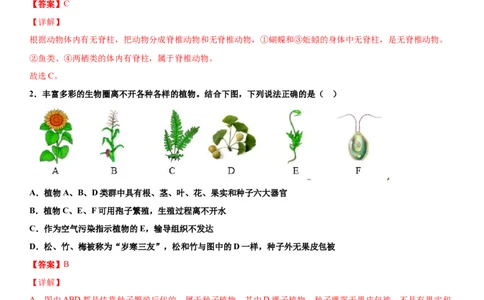 6.1.1尝试对生物进行分类（练习）（解析版）_初中全科电子版试卷练习试题_生物_生物8上练习_人教生物8年级上课时练习37份_第1套八年级生物上册课时练习（人教版）16份
