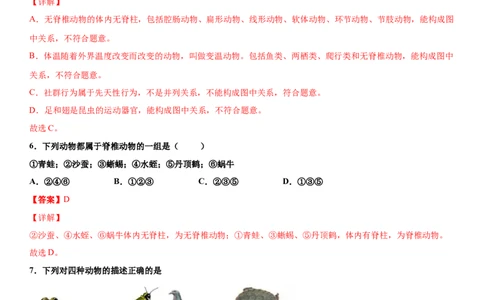 6.1.1尝试对生物进行分类（练习）（解析版）_初中全科电子版试卷练习试题_生物_生物8上练习_人教生物8年级上课时练习37份_第1套八年级生物上册课时练习（人教版）16份