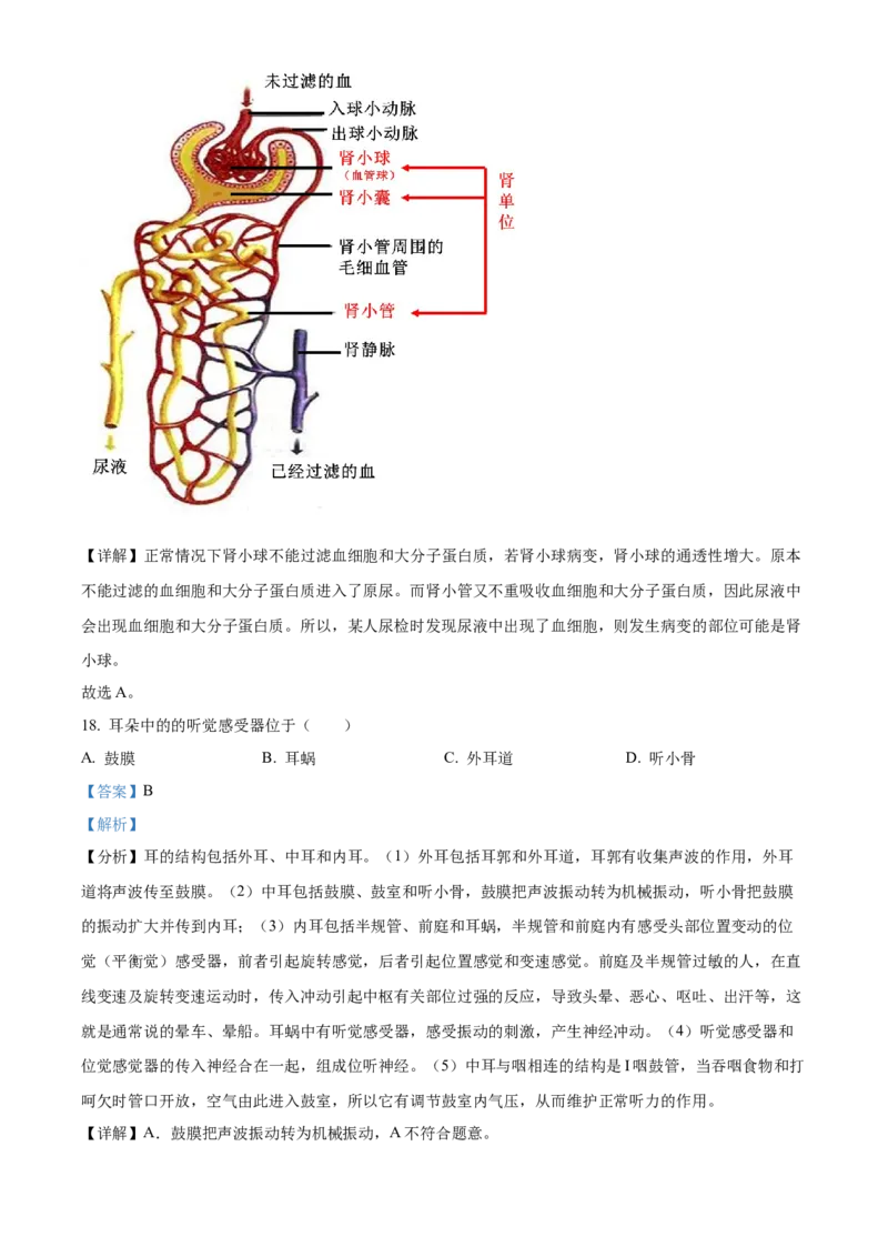 4七年级下学期期中生物试题（解析版）_初中全科电子版试卷练习试题_生物_生物人教版7下练习_人教生物7年级下期中试卷07份