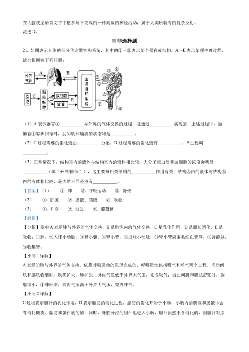 4七年级下学期期中生物试题（解析版）_初中全科电子版试卷练习试题_生物_生物人教版7下练习_人教生物7年级下期中试卷07份