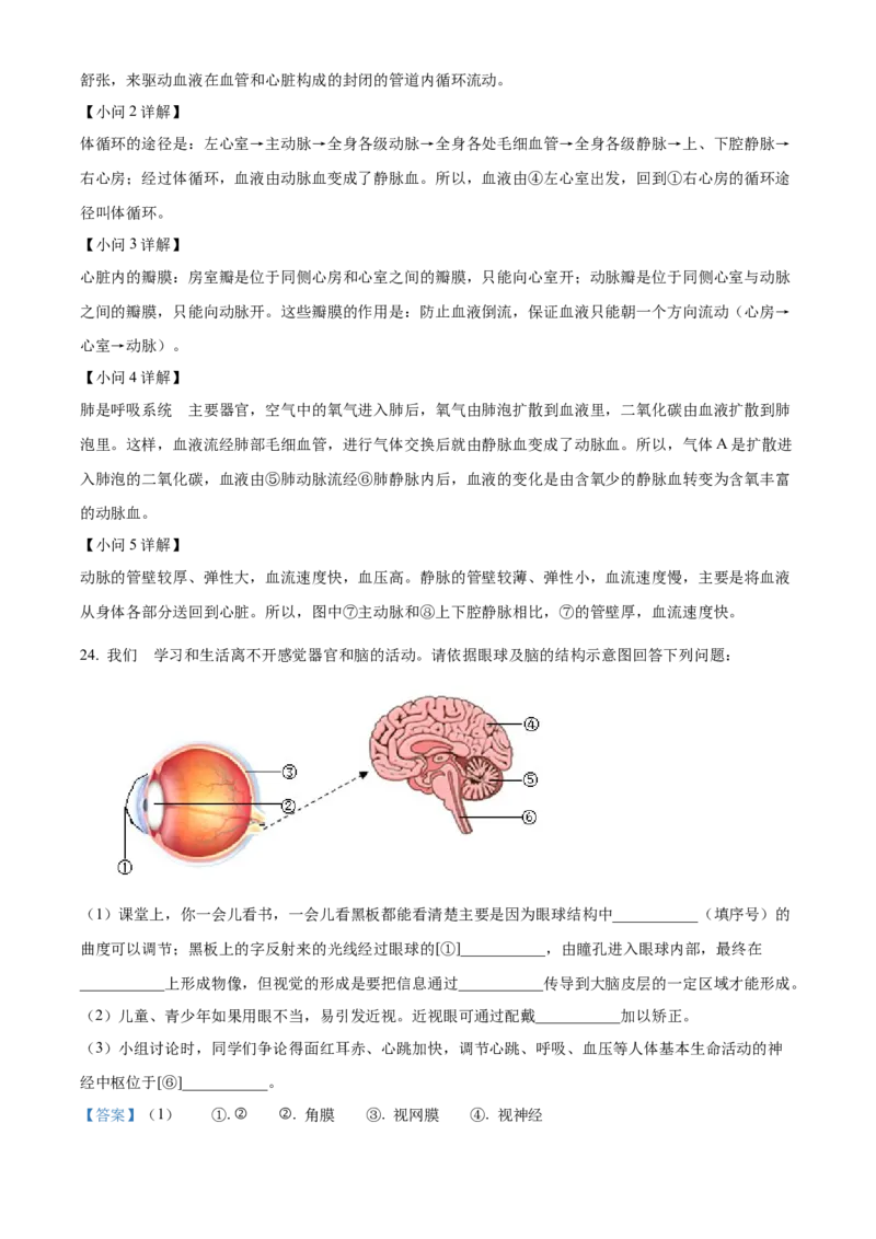 4七年级下学期期中生物试题（解析版）_初中全科电子版试卷练习试题_生物_生物人教版7下练习_人教生物7年级下期中试卷07份