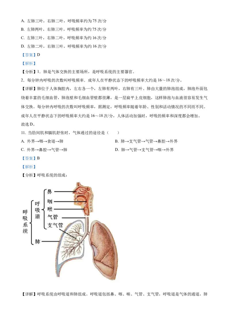 4七年级下学期期中生物试题（解析版）_初中全科电子版试卷练习试题_生物_生物人教版7下练习_人教生物7年级下期中试卷07份