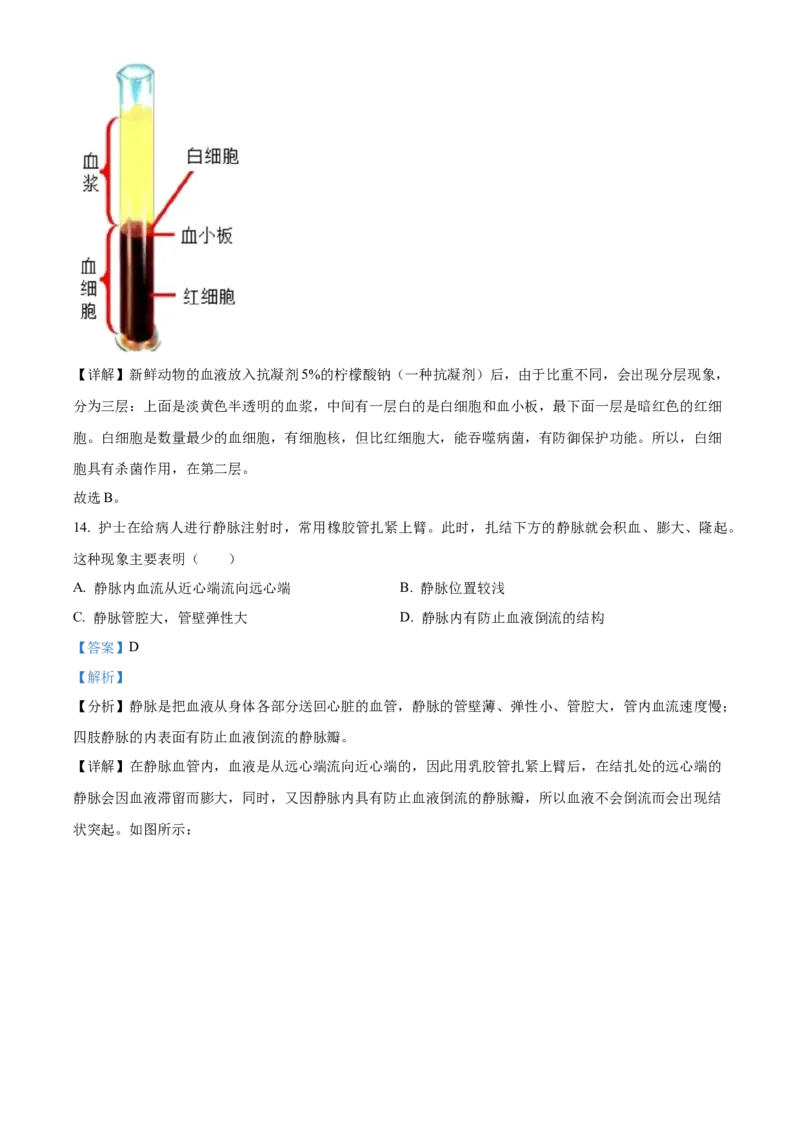 4七年级下学期期中生物试题（解析版）_初中全科电子版试卷练习试题_生物_生物人教版7下练习_人教生物7年级下期中试卷07份