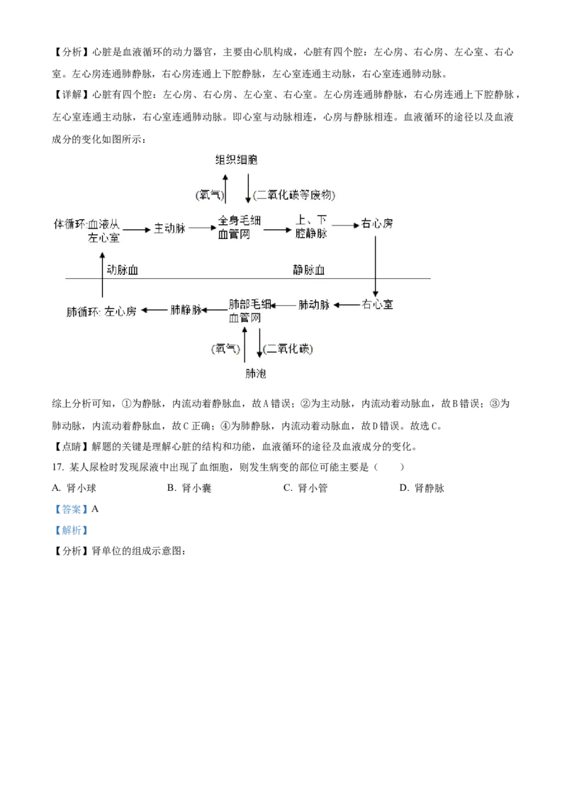4七年级下学期期中生物试题（解析版）_初中全科电子版试卷练习试题_生物_生物人教版7下练习_人教生物7年级下期中试卷07份