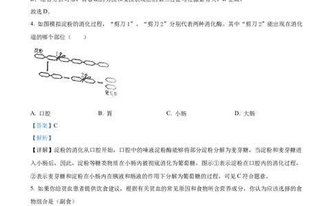 4七年级下学期期中生物试题（解析版）_初中全科电子版试卷练习试题_生物_生物人教版7下练习_人教生物7年级下期中试卷07份