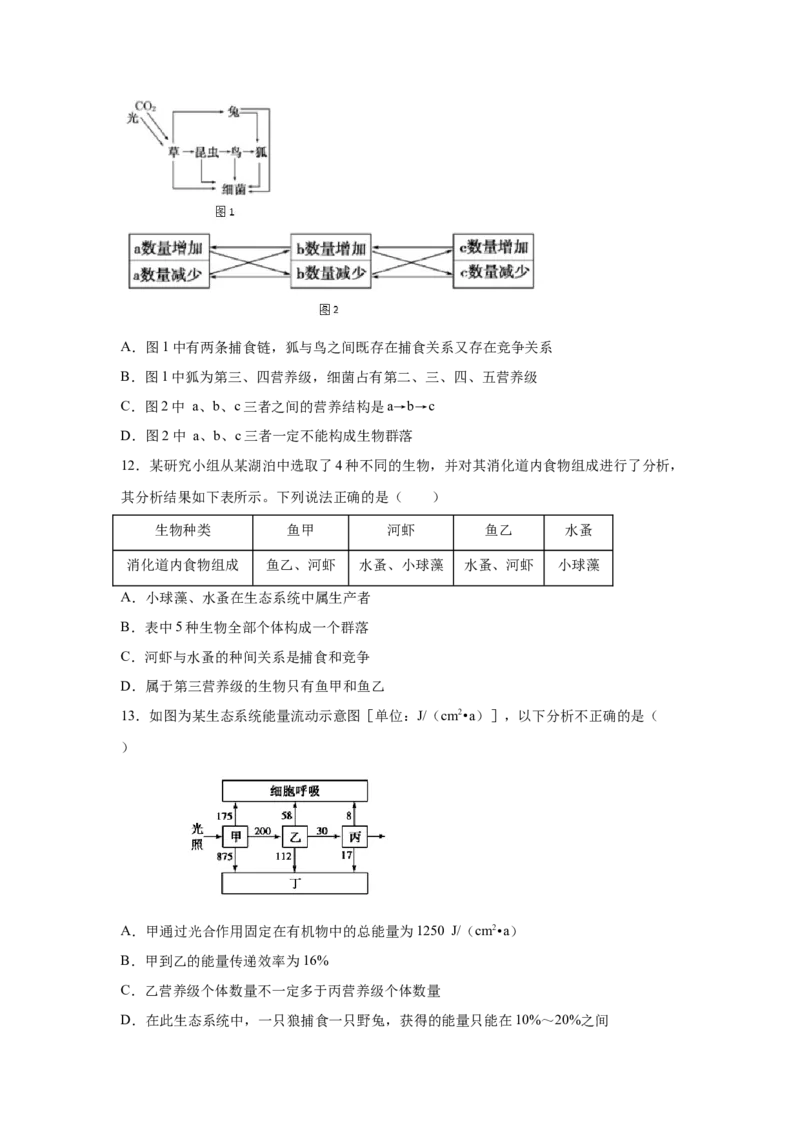专题29生态系统的结构与能量流动（学生版）_新高考复习资料_2023年新高考复习资料_二轮复习_增分要点2023高考生物二轮复习专题解读和分层训练291073137