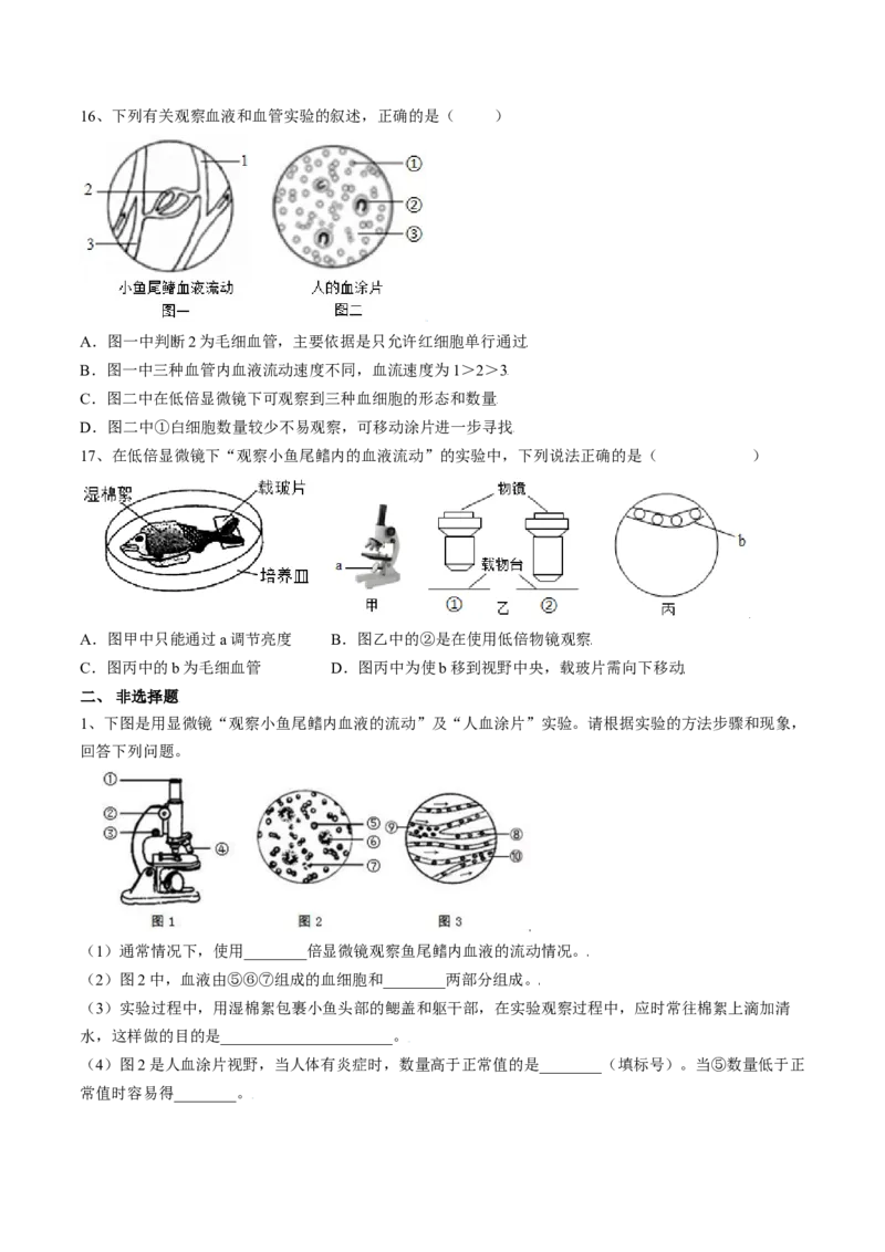 4.4.2血流的管道&mdash;血管（原卷版）_初中全科电子版试卷练习试题_生物_生物人教版7下练习_人教生物7年级下课时练习40份_第2套七年级生物下册课时练习（人教版）20份