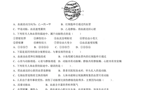 4.4.2血流的管道&mdash;血管（原卷版）_初中全科电子版试卷练习试题_生物_生物人教版7下练习_人教生物7年级下课时练习40份_第2套七年级生物下册课时练习（人教版）20份