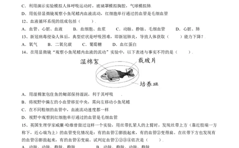 4.4.2血流的管道&mdash;血管（原卷版）_初中全科电子版试卷练习试题_生物_生物人教版7下练习_人教生物7年级下课时练习40份_第2套七年级生物下册课时练习（人教版）20份