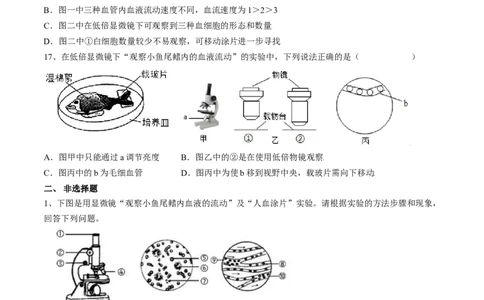 4.4.2血流的管道&mdash;血管（原卷版）_初中全科电子版试卷练习试题_生物_生物人教版7下练习_人教生物7年级下课时练习40份_第2套七年级生物下册课时练习（人教版）20份