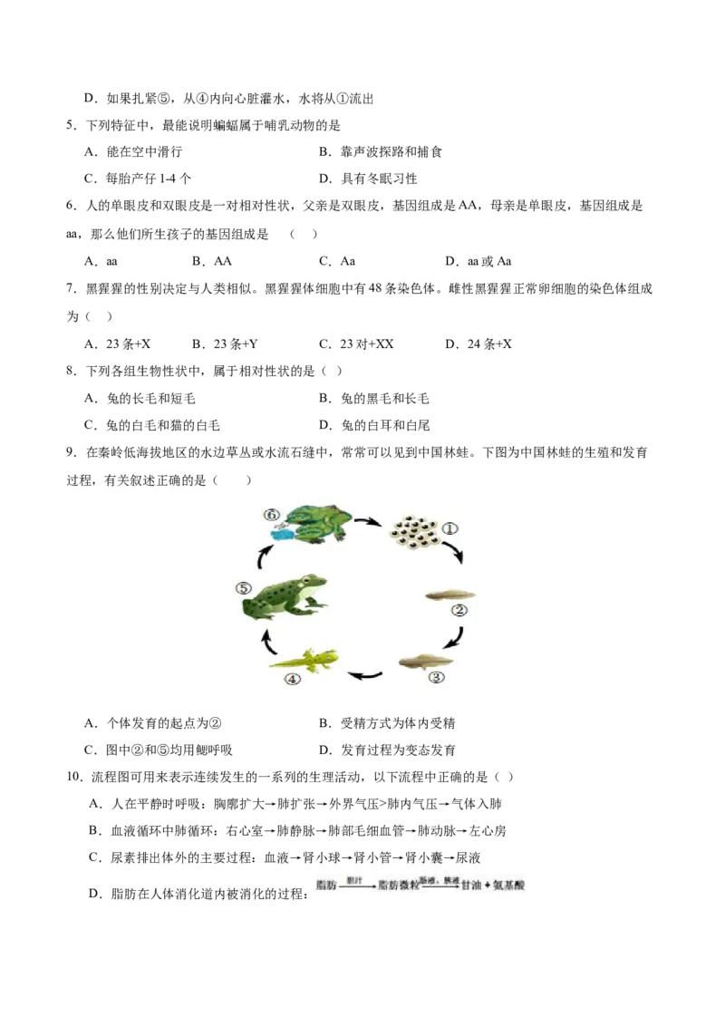 2024年中考押题预测卷02（海南卷）-生物（考试版A4）_初中全科电子版试卷练习试题_生物_2024中考模拟题生物(1)_押题预测