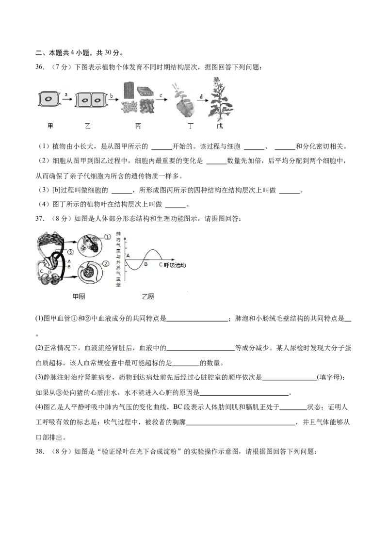 2024年中考押题预测卷02（海南卷）-生物（考试版A4）_初中全科电子版试卷练习试题_生物_2024中考模拟题生物(1)_押题预测