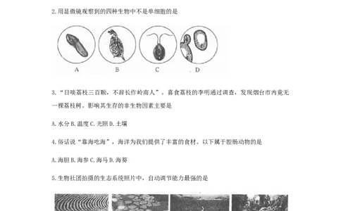 山东省烟台市2019年中考生物真题试题(1)_山东历年中考真题_山东省历年中考真题2013~2024_初中生物历年真题（2013-2024）
