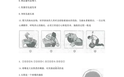 山东省烟台市2019年中考生物真题试题(1)_山东历年中考真题_山东省历年中考真题2013~2024_初中生物历年真题（2013-2024）