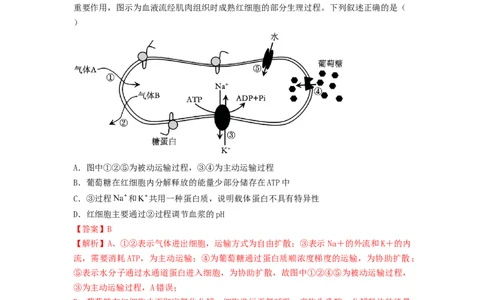 专题23人体的内环境与稳态（精练）（解析版）_新高考复习资料_2024年新高考复习资料_一轮复习资料_完备战2024年高考生物一轮复习串讲精练（新高考专用）_精练_解析版