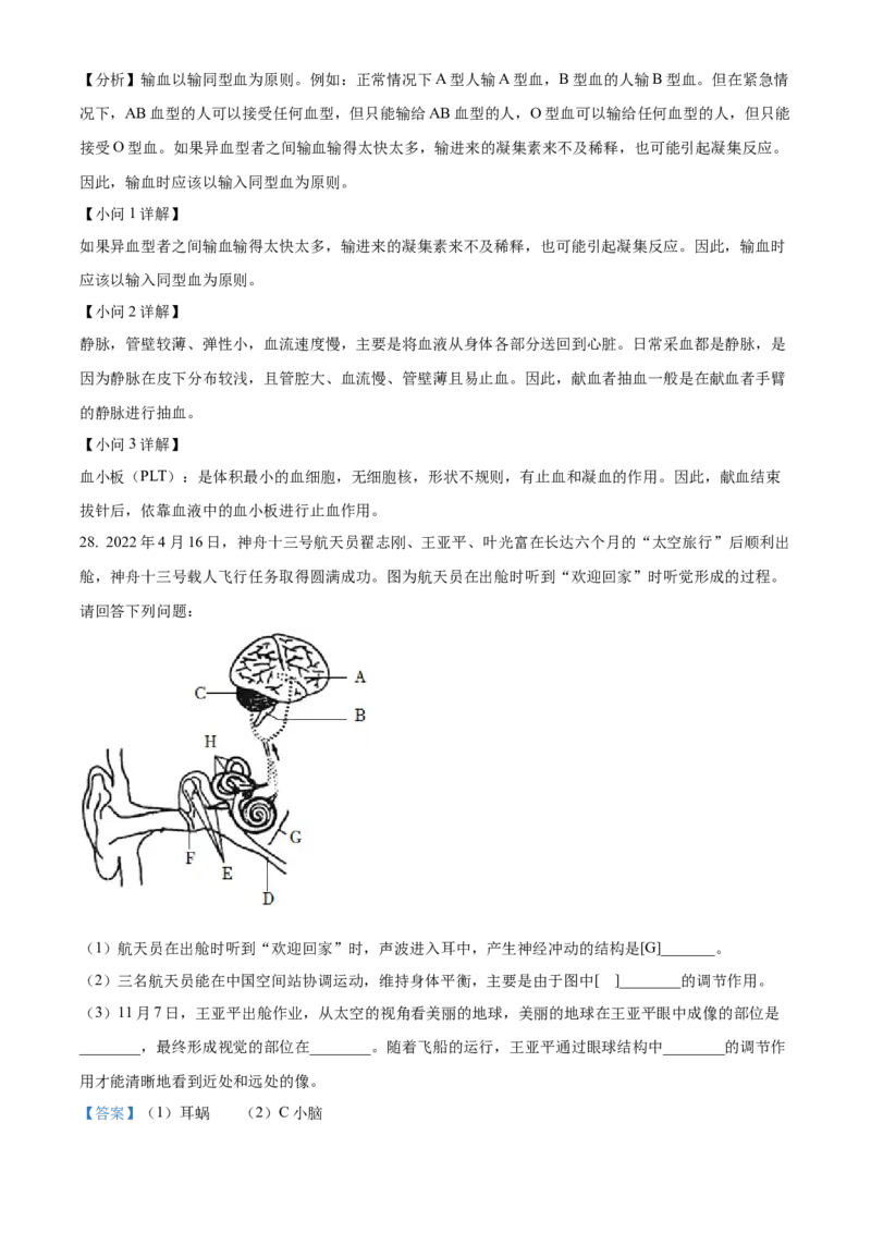 七年级下学期期末生物试题（解析版）_初中全科电子版试卷练习试题_生物_生物人教版7下练习_人教生物7年级下期末试卷11份
