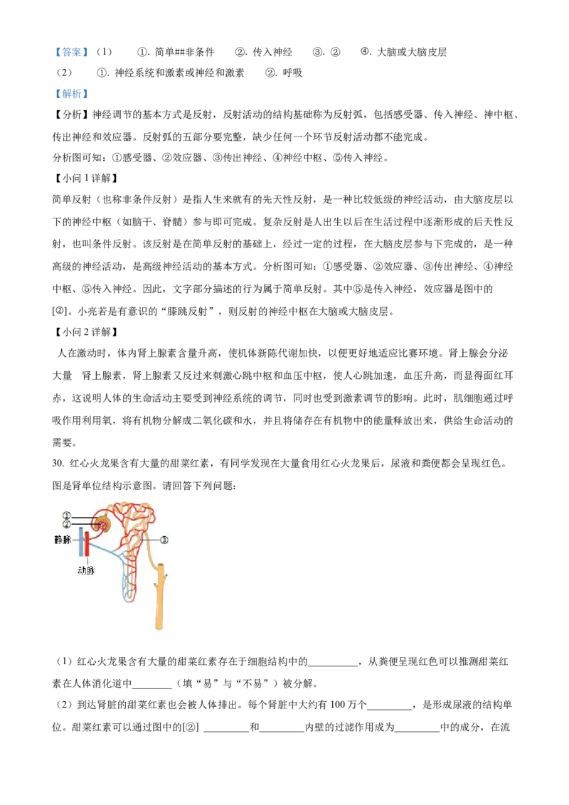 七年级下学期期末生物试题（解析版）_初中全科电子版试卷练习试题_生物_生物人教版7下练习_人教生物7年级下期末试卷11份
