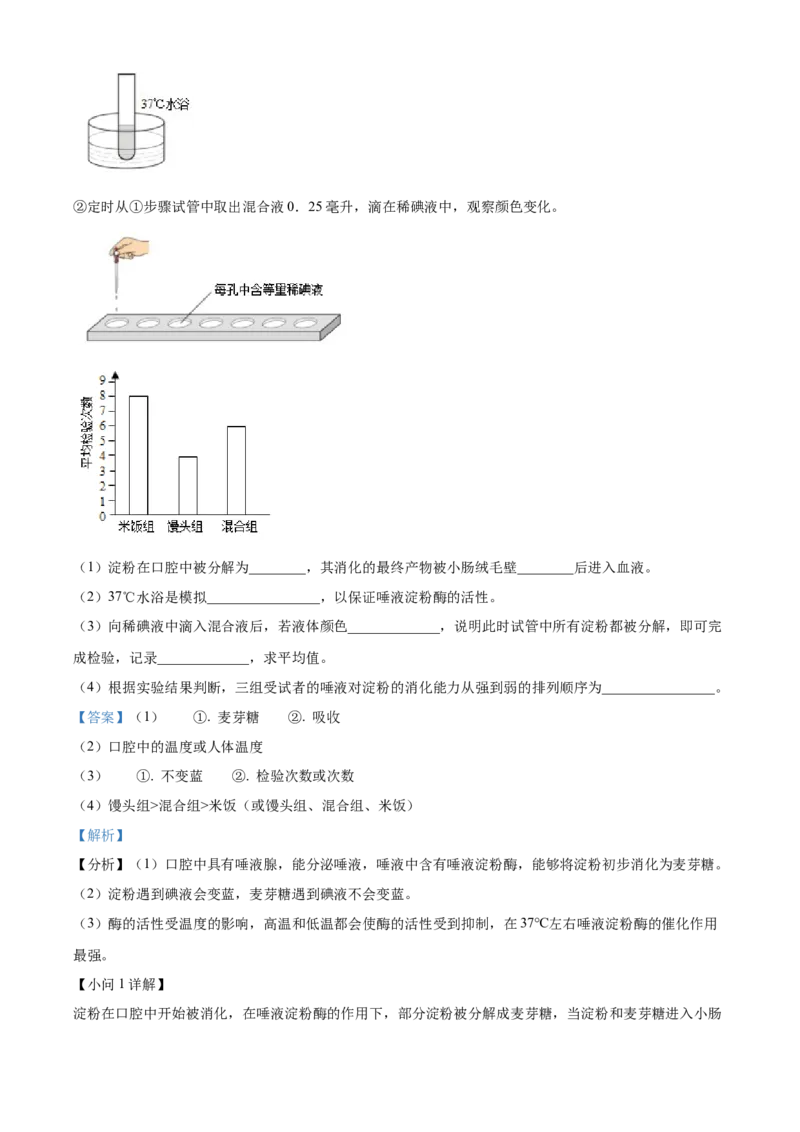 七年级下学期期末生物试题（解析版）_初中全科电子版试卷练习试题_生物_生物人教版7下练习_人教生物7年级下期末试卷11份