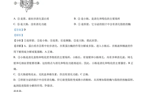 七年级下学期期末生物试题（解析版）_初中全科电子版试卷练习试题_生物_生物人教版7下练习_人教生物7年级下期末试卷11份