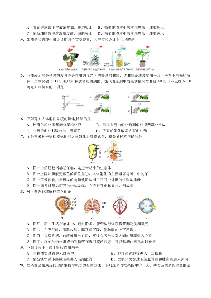 2024年中考押题预测卷（南京卷）-生物（考试版）A4_初中全科电子版试卷练习试题_生物_2024中考模拟题生物(1)_押题预测