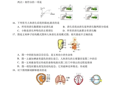 2024年中考押题预测卷（南京卷）-生物（考试版）A4_初中全科电子版试卷练习试题_生物_2024中考模拟题生物(1)_押题预测