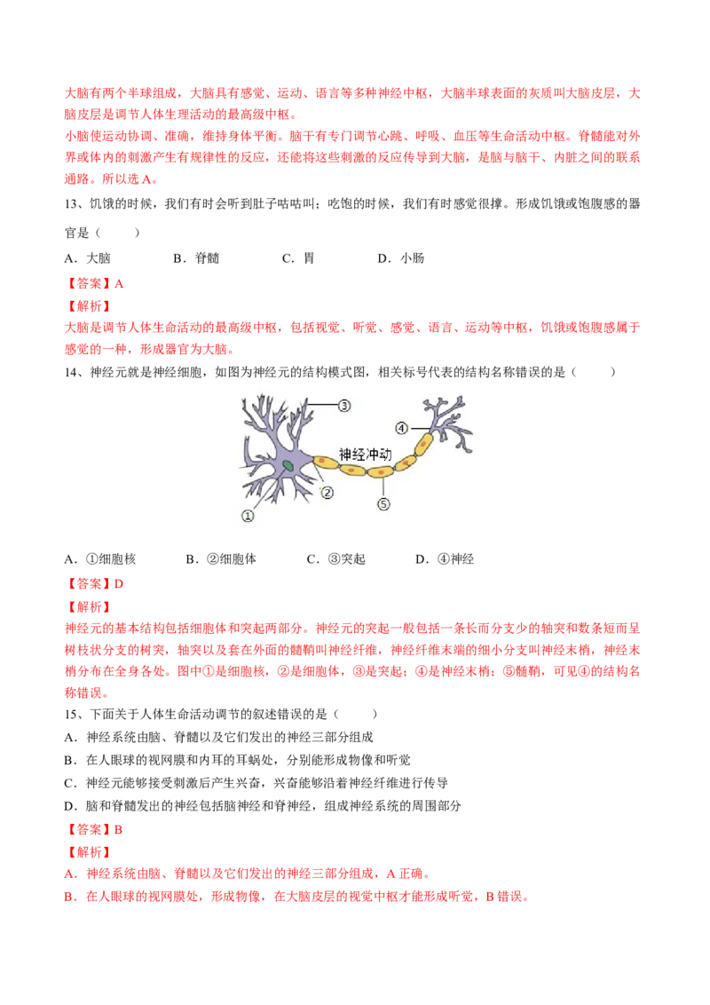 4.6.2神经系统的组成（解析版）_初中全科电子版试卷练习试题_生物_生物人教版7下练习_人教生物7年级下课时练习40份_第2套七年级生物下册课时练习（人教版）20份