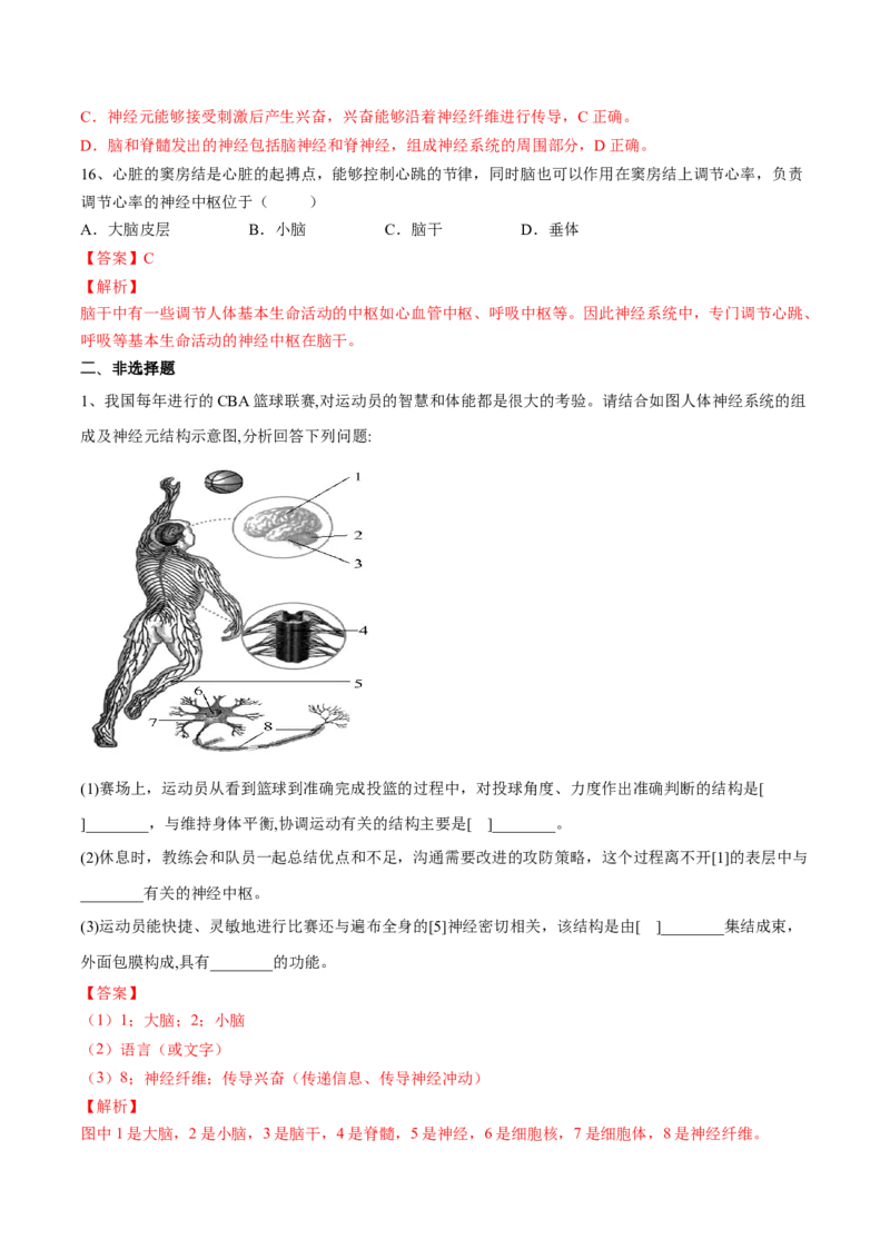 4.6.2神经系统的组成（解析版）_初中全科电子版试卷练习试题_生物_生物人教版7下练习_人教生物7年级下课时练习40份_第2套七年级生物下册课时练习（人教版）20份