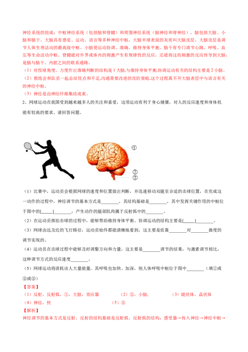 4.6.2神经系统的组成（解析版）_初中全科电子版试卷练习试题_生物_生物人教版7下练习_人教生物7年级下课时练习40份_第2套七年级生物下册课时练习（人教版）20份