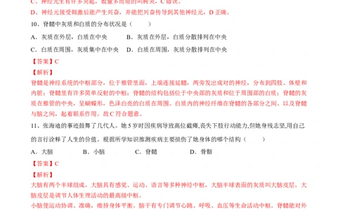 4.6.2神经系统的组成（解析版）_初中全科电子版试卷练习试题_生物_生物人教版7下练习_人教生物7年级下课时练习40份_第2套七年级生物下册课时练习（人教版）20份