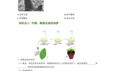 专题01植物的生殖（原卷版）-2021-2022学年八年级上学期期末复习之重难点突破（人教版）_初中全科电子版试卷练习试题_生物_生物8上练习_人教生物8年级上专项练习23份